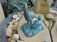 Bronzeente mit Kücken